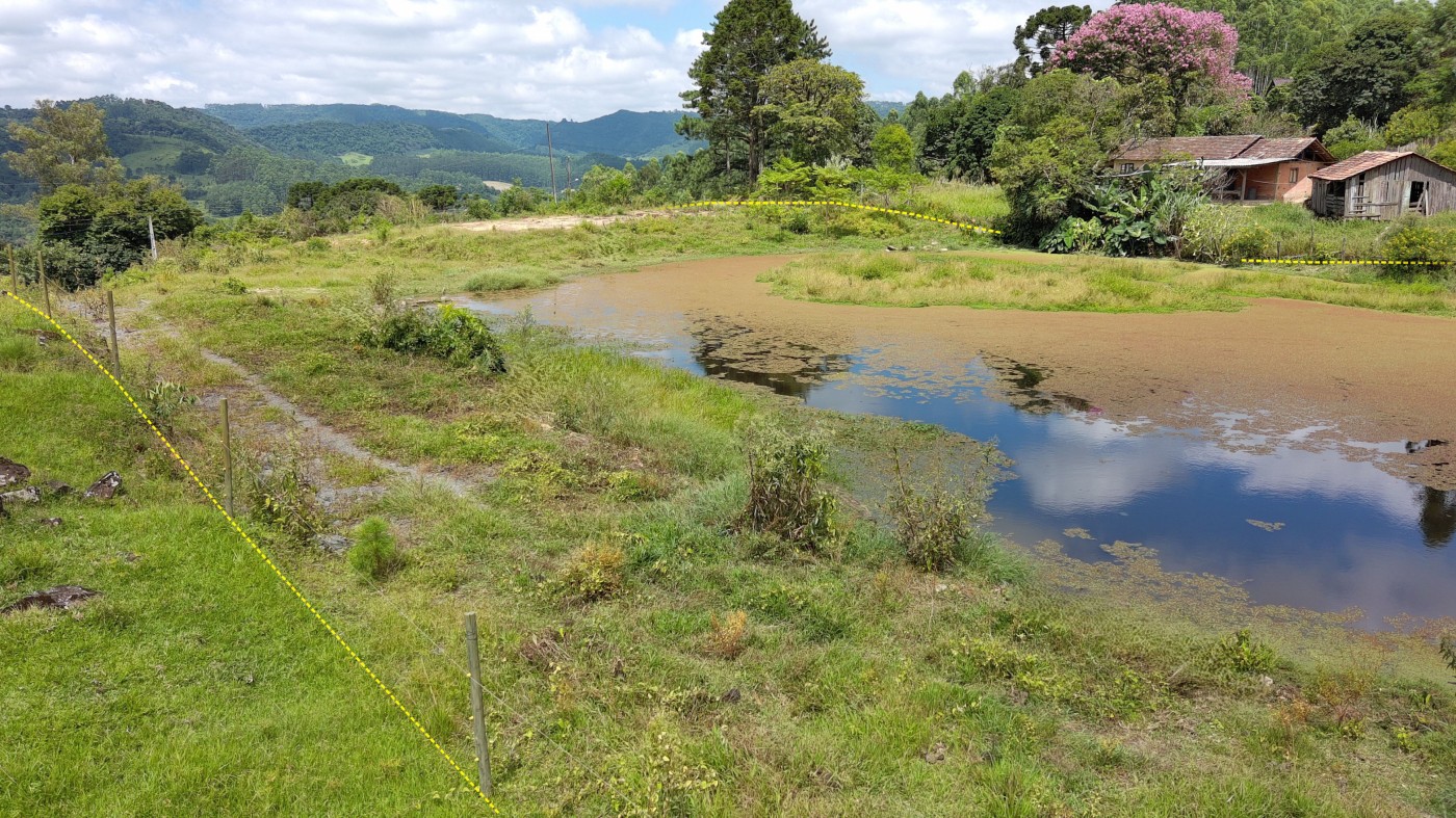 Chácara à venda, 10000m² - Foto 15