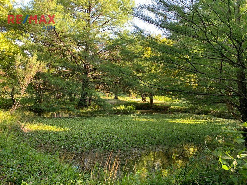 Terreno à venda, 72000M2 - Foto 19