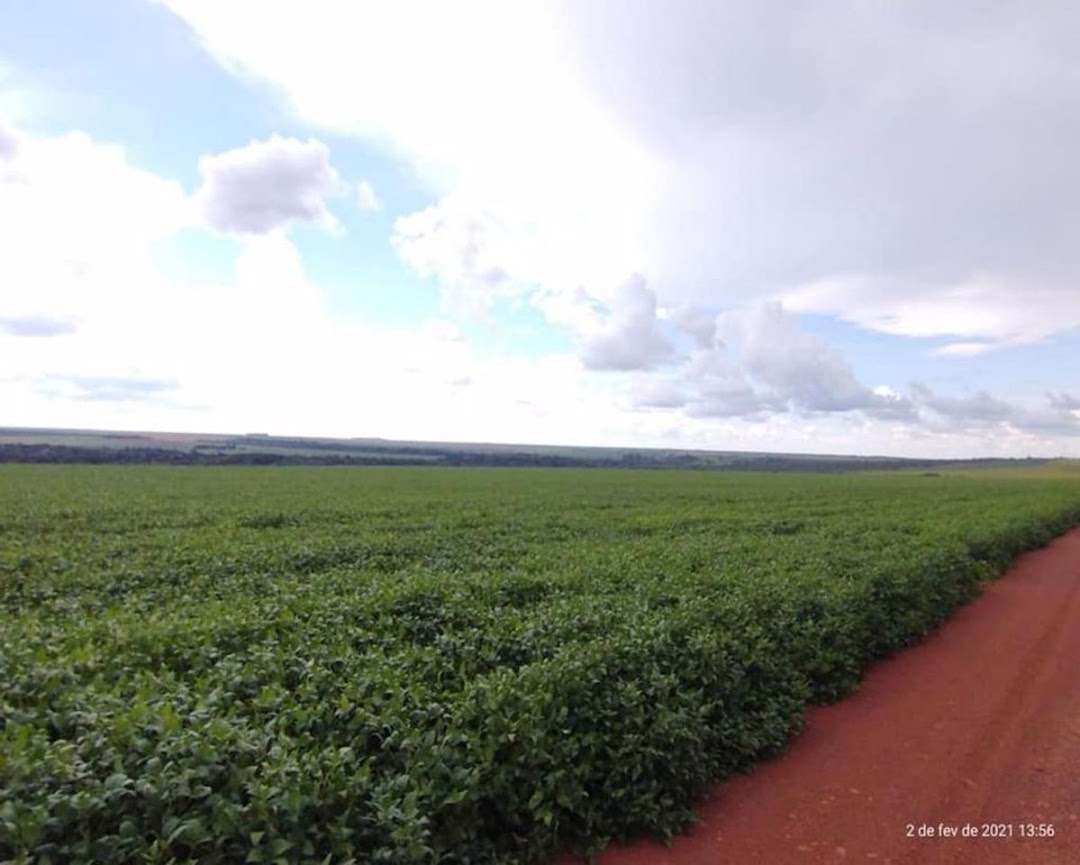 Fazenda-Sítio-Chácara - Foto 3