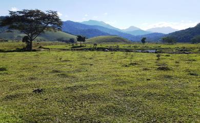 Fazenda à venda com 2 quartos, 270000m² - Foto 27