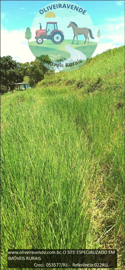 Fazenda à venda com 2 quartos, 24m² - Foto 15