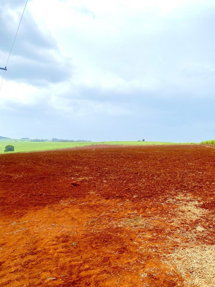 Fazenda à venda, 34m² - Foto 1