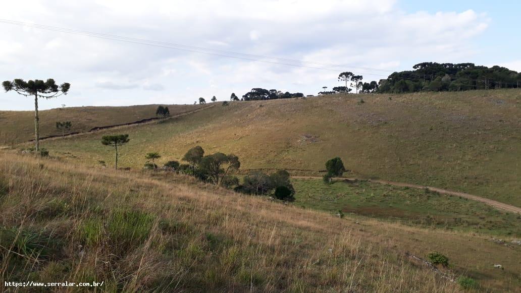 Fazenda à venda, 34m² - Foto 1