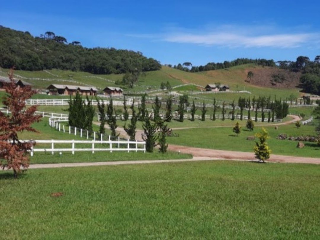 Fazenda à venda com 6 quartos, 1000m² - Foto 3