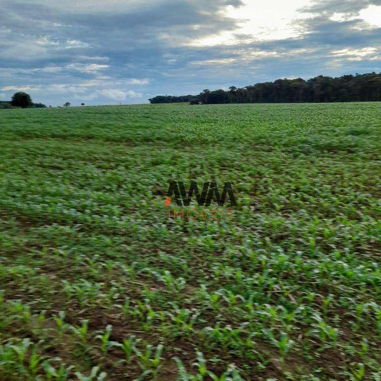 Fazenda à venda com 2 quartos, 387200M2 - Foto 15