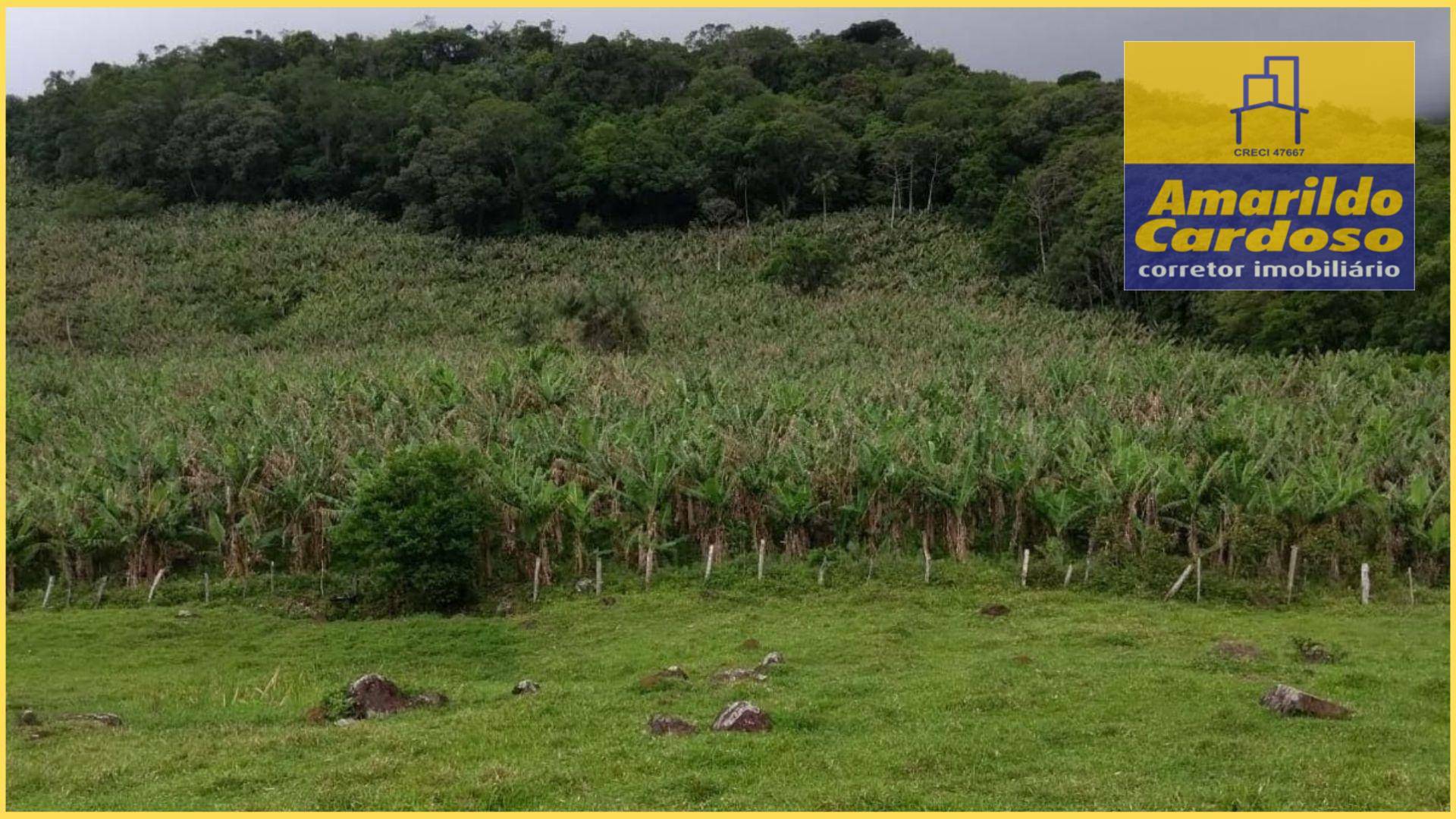 Terreno à venda, 70000M2 - Foto 3