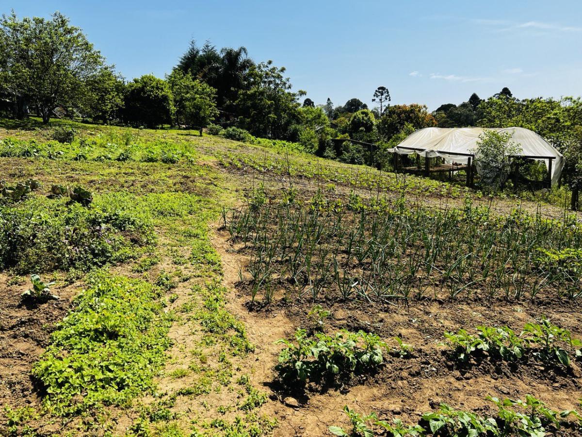 Fazenda à venda, 6300m² - Foto 29