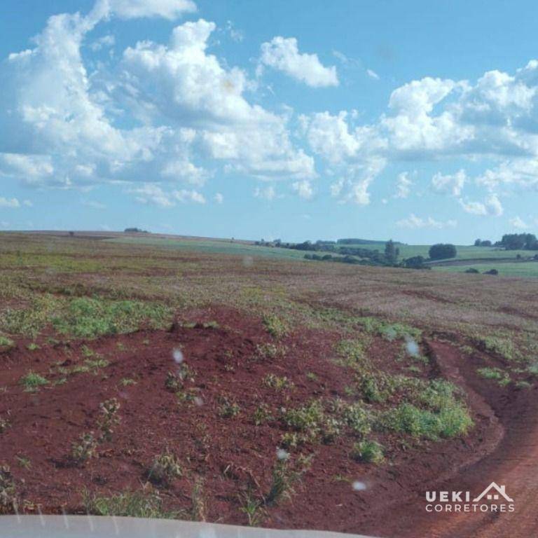 Fazenda-Sítio-Chácara, 104 hectares - Foto 4