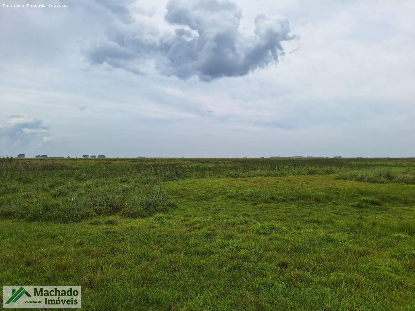 Chácara à venda, 1000m² - Foto 16