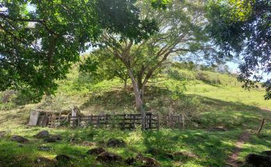 Fazenda à venda com 3 quartos, 200000m² - Foto 15