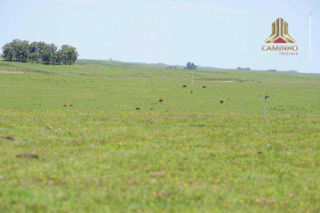 Fazenda à venda com 5 quartos, 33455000M2 - Foto 68