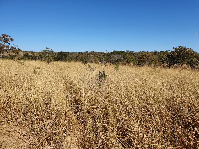 Fazenda à venda, 1613m² - Foto 18