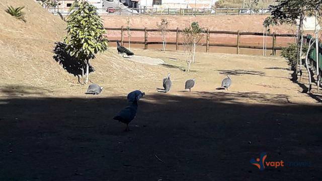 Sobrado, 3 quartos, 238 m² - Foto 3