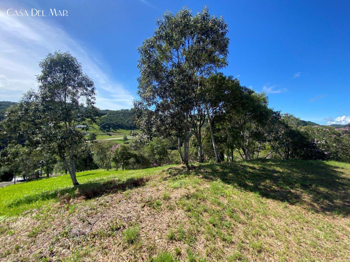 Terreno à venda, 1636m² - Foto 6