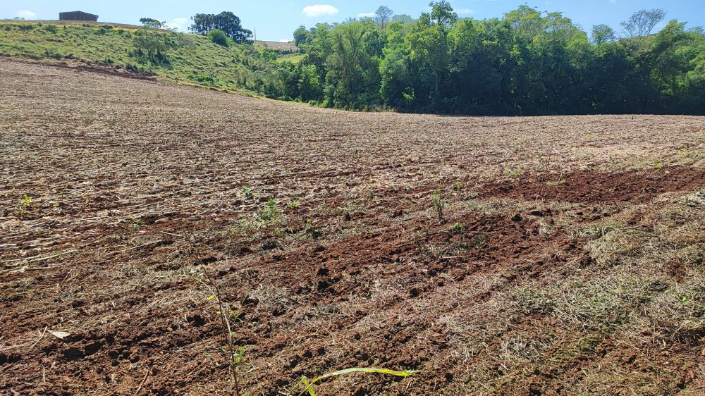 Fazenda à venda, 54000m² - Foto 11