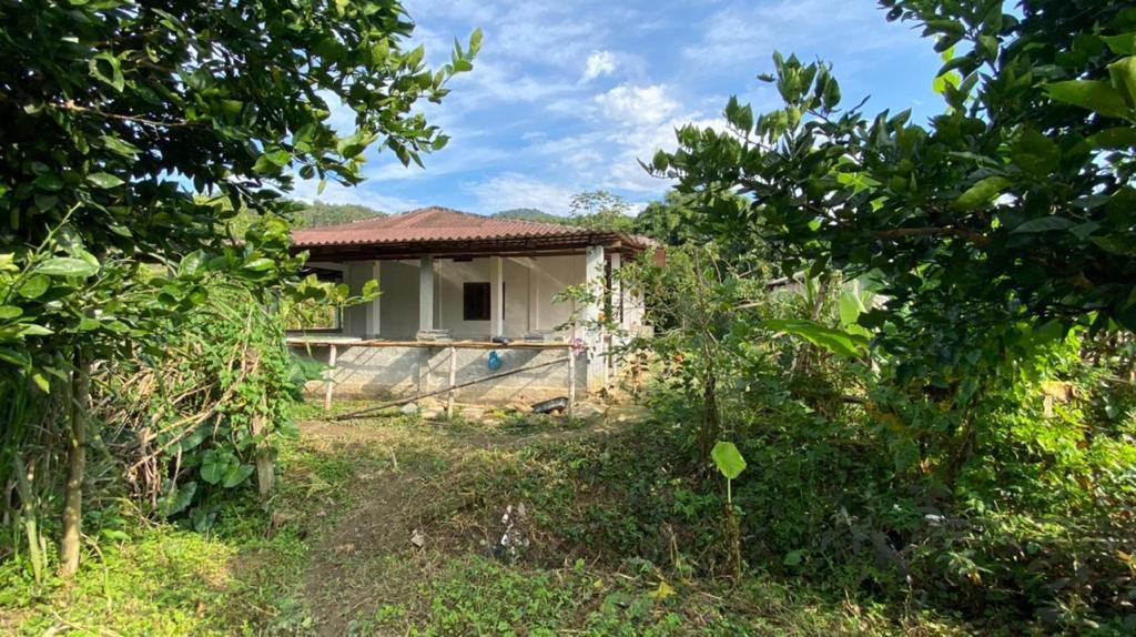 Chácara à venda com 3 quartos, 12000m² - Foto 42