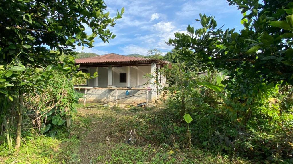 Fazenda à venda com 3 quartos, 12000m² - Foto 42