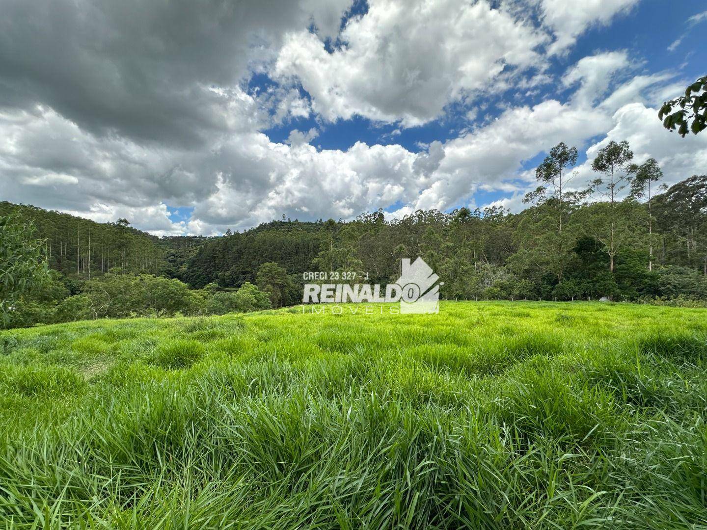 Sítio à venda com 3 quartos, 2920m² - Foto 39