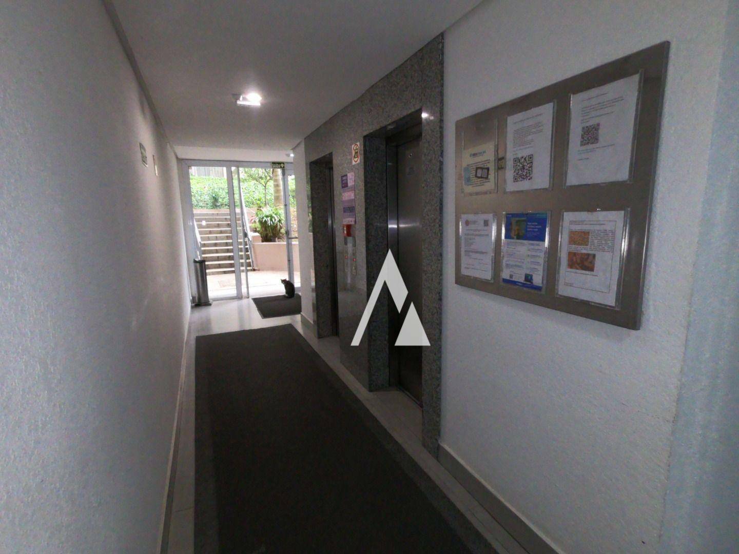 Apartamento para alugar com 3 quartos, 67m² - Foto 8