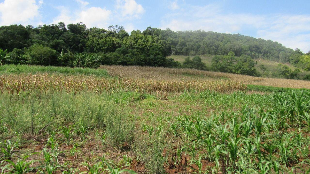 Loteamento e Condomínio à venda, 103000m² - Foto 50