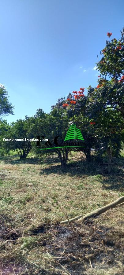 Fazenda à venda, 1000m² - Foto 1