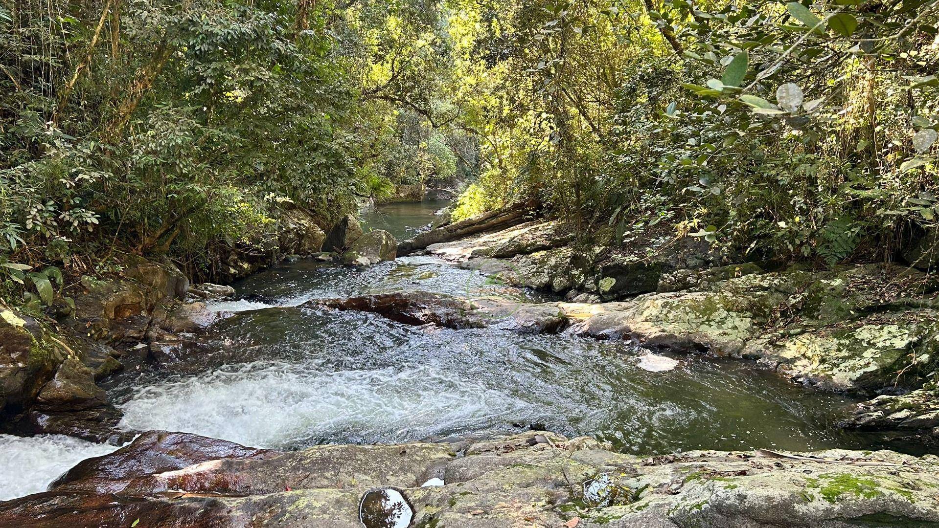 Sítio, 19 hectares - Foto 50