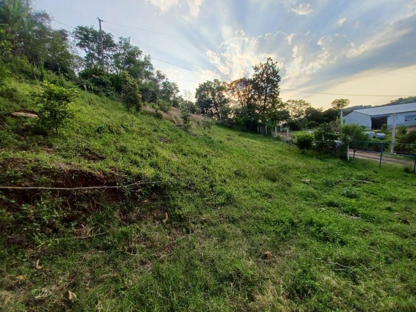 Fazenda à venda, 80m² - Foto 8