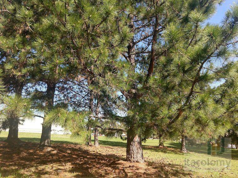 Terreno, 1746 m² - Foto 6