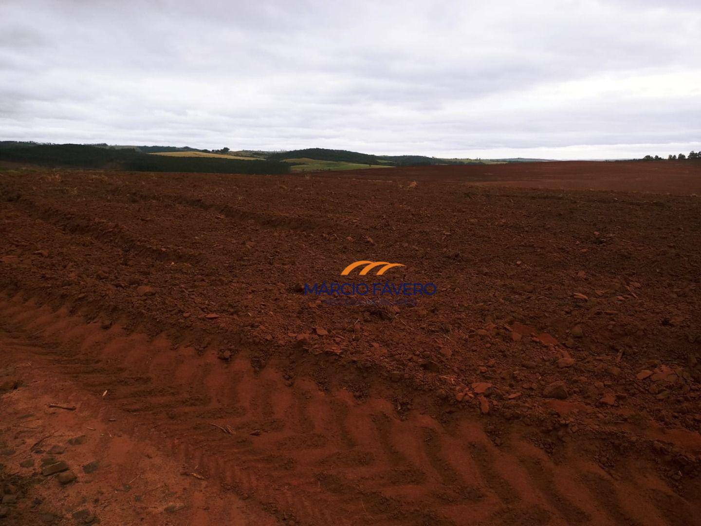 Fazenda-Sítio-Chácara, 1198 hectares - Foto 3