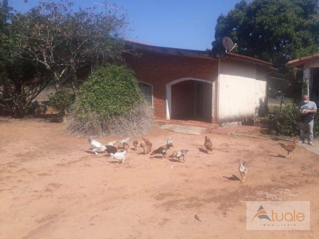 Chácara à venda com 3 quartos, 150m² - Foto 4