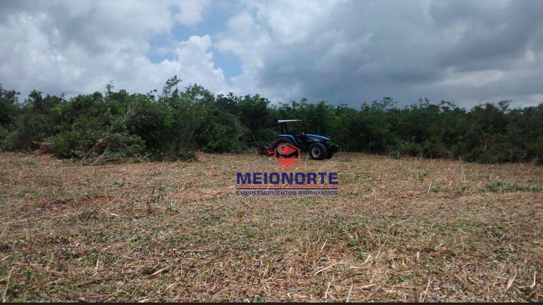 Fazenda à venda com 1 quarto, 2400000M2 - Foto 6