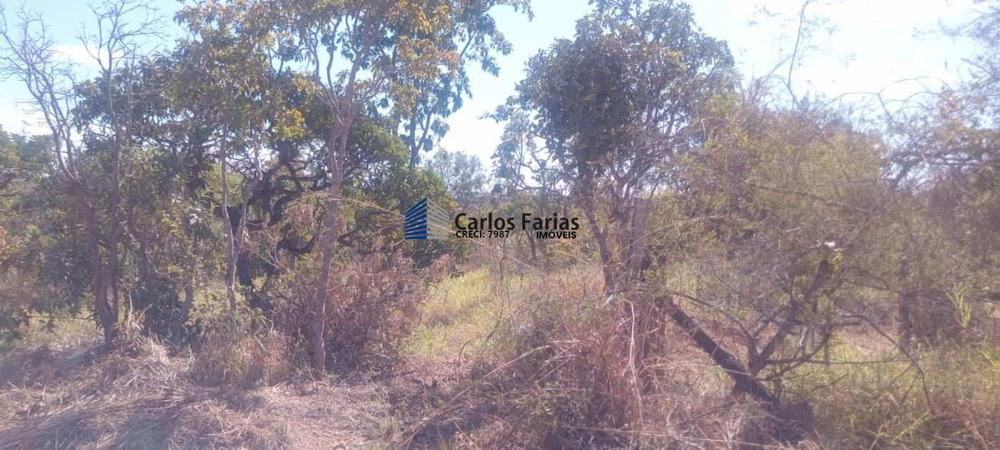 Chácara à venda, 20000m² - Foto 7