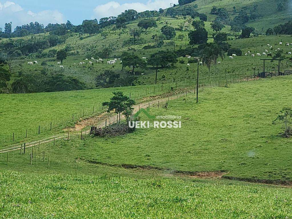Fazenda-Sítio-Chácara, 387 hectares - Foto 2
