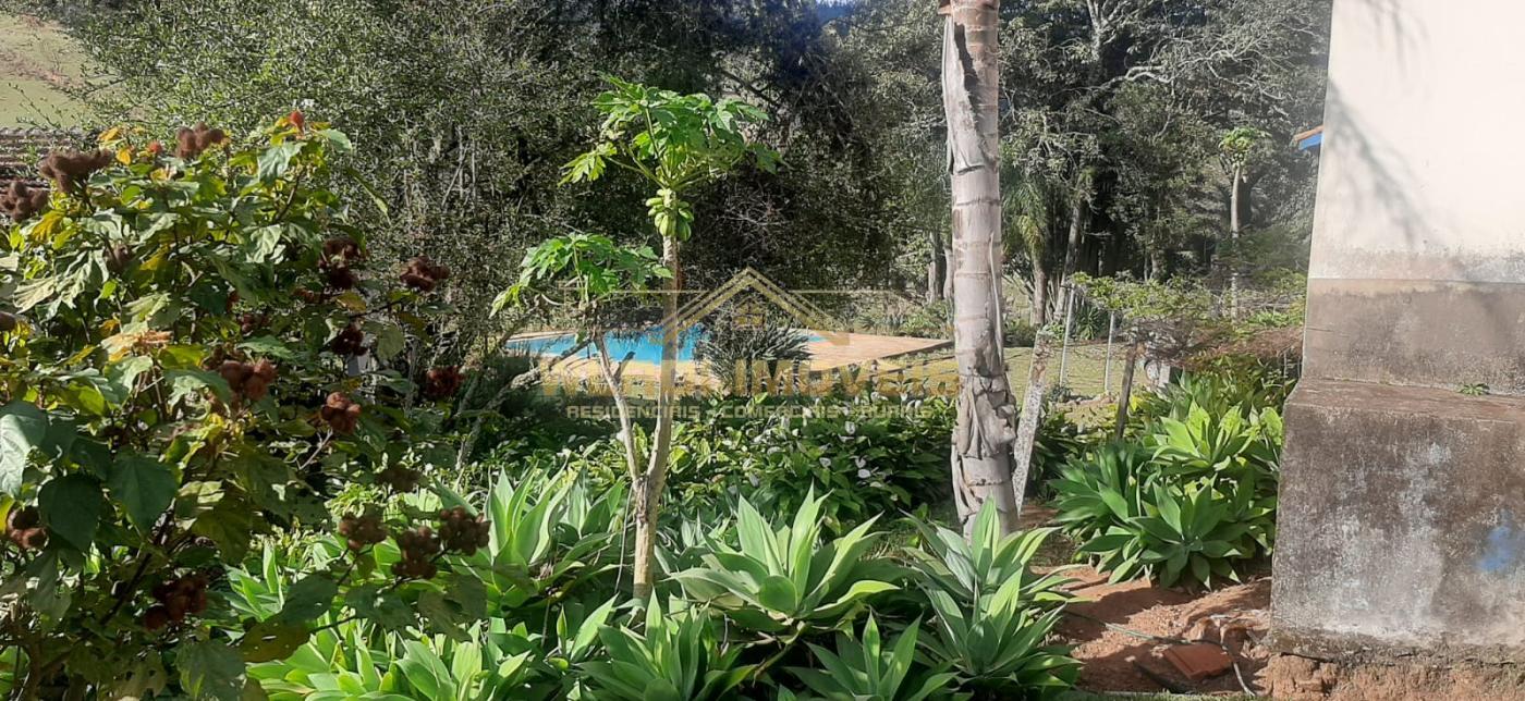 Fazenda à venda com 7 quartos, 9m² - Foto 37