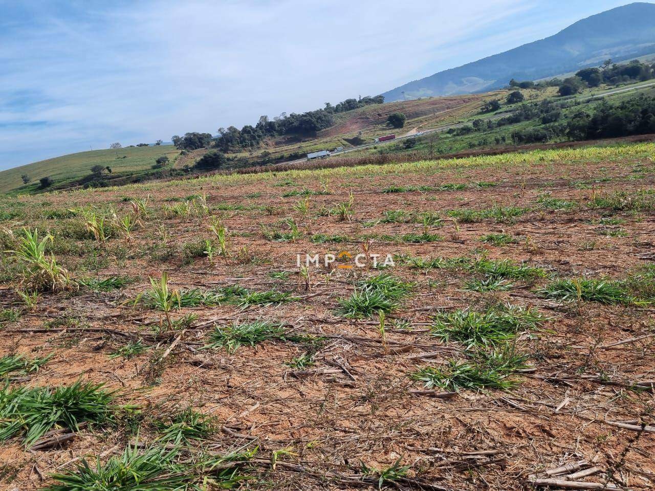 Terreno à venda, 1597200M2 - Foto 11