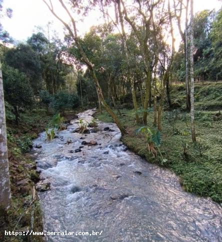 Fazenda à venda, 33000m² - Foto 5