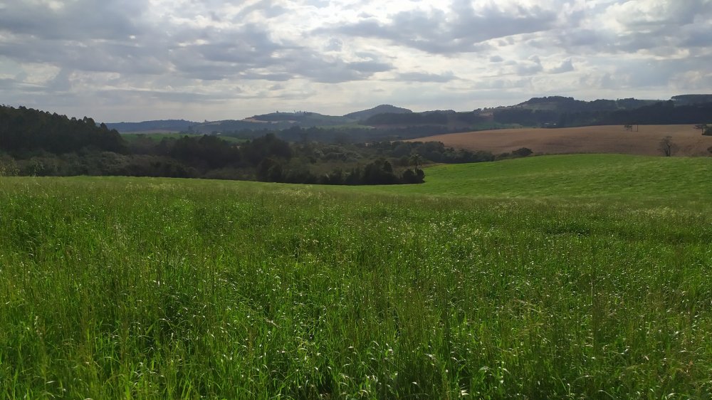 Fazenda à venda, 60m² - Foto 5