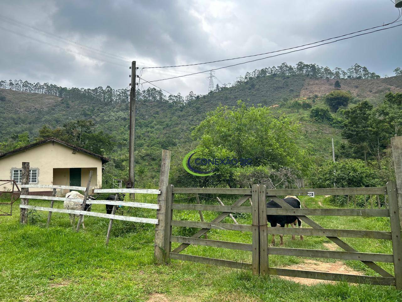 Sítio à venda com 2 quartos, 726000M2 - Foto 11