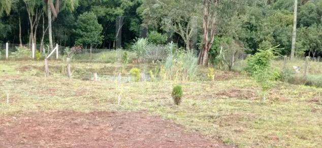 Chácara à venda com 3 quartos, 5000m² - Foto 16