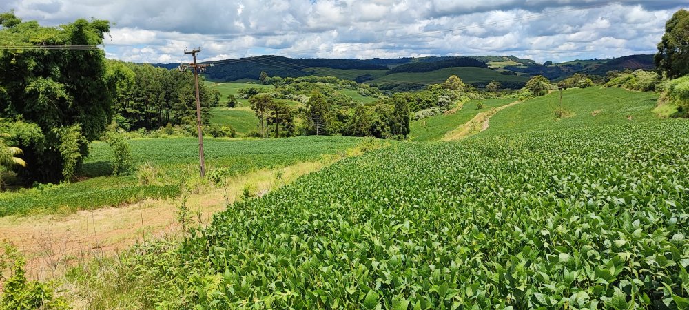 Fazenda à venda, 52m² - Foto 4