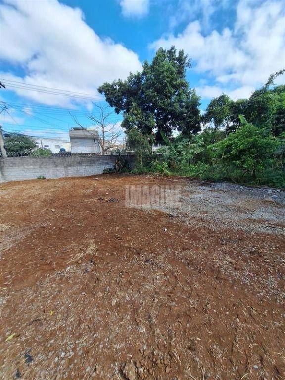 Terreno à venda, 493M2 - Foto 4