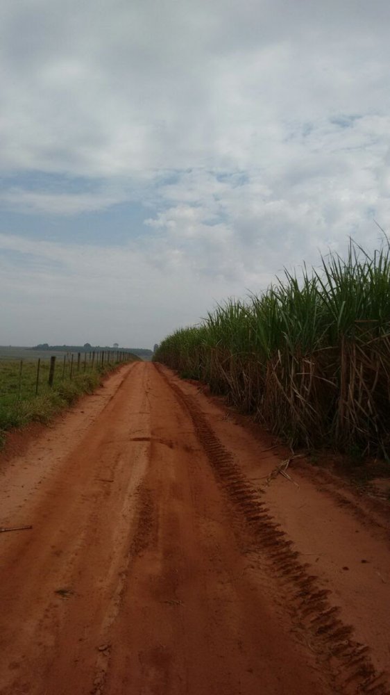 Fazenda à venda, 1275m² - Foto 4