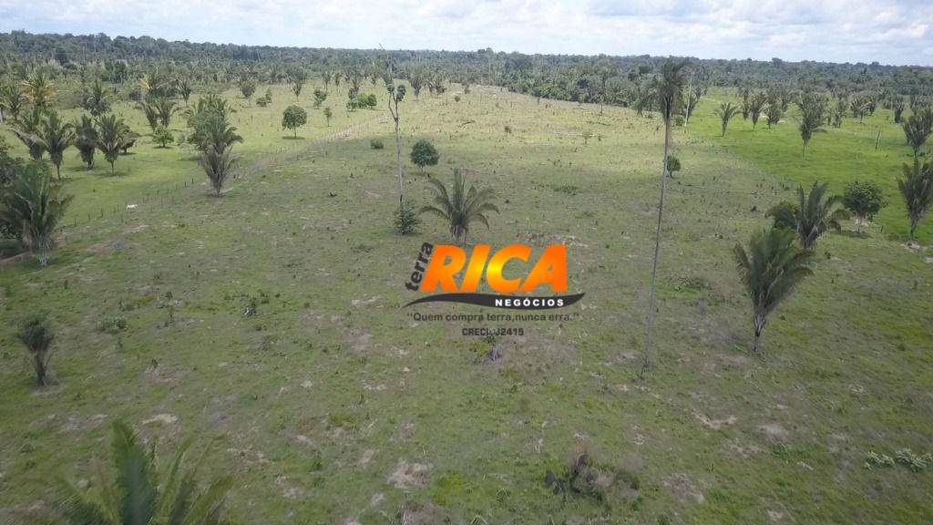 Sítio, 2 quartos, 40 hectares - Foto 6