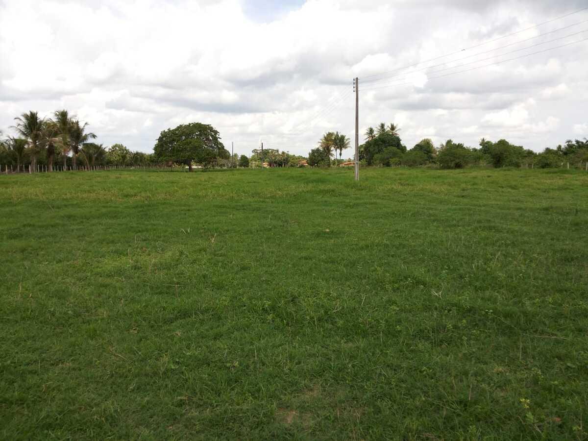 Fazenda à venda, 1000m² - Foto 28