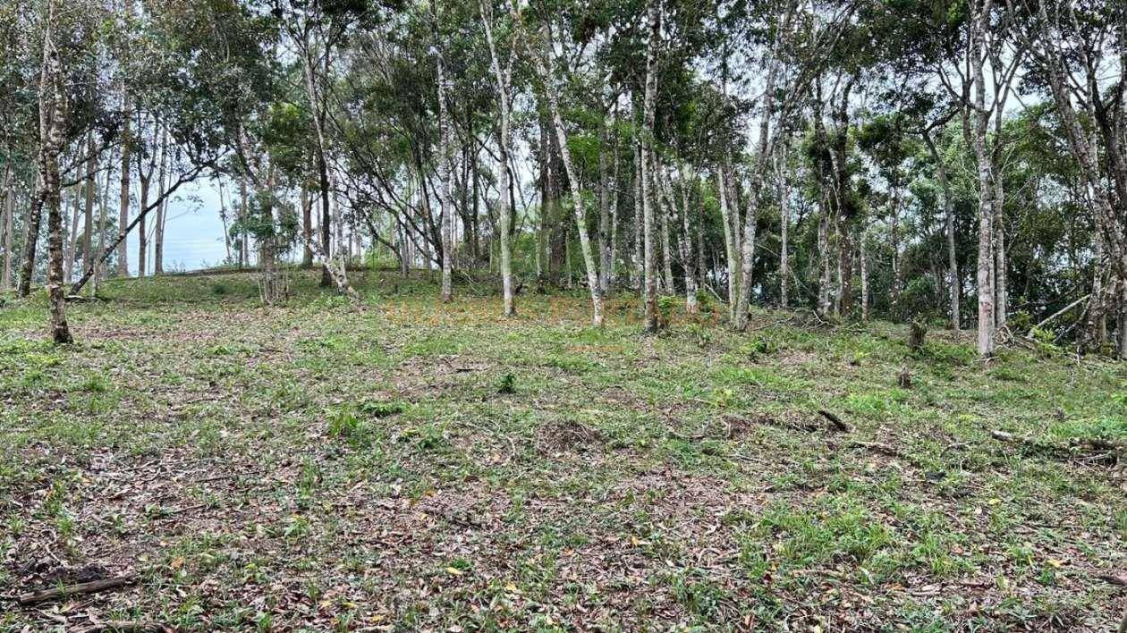 Terreno, 10000 m² - Foto 6