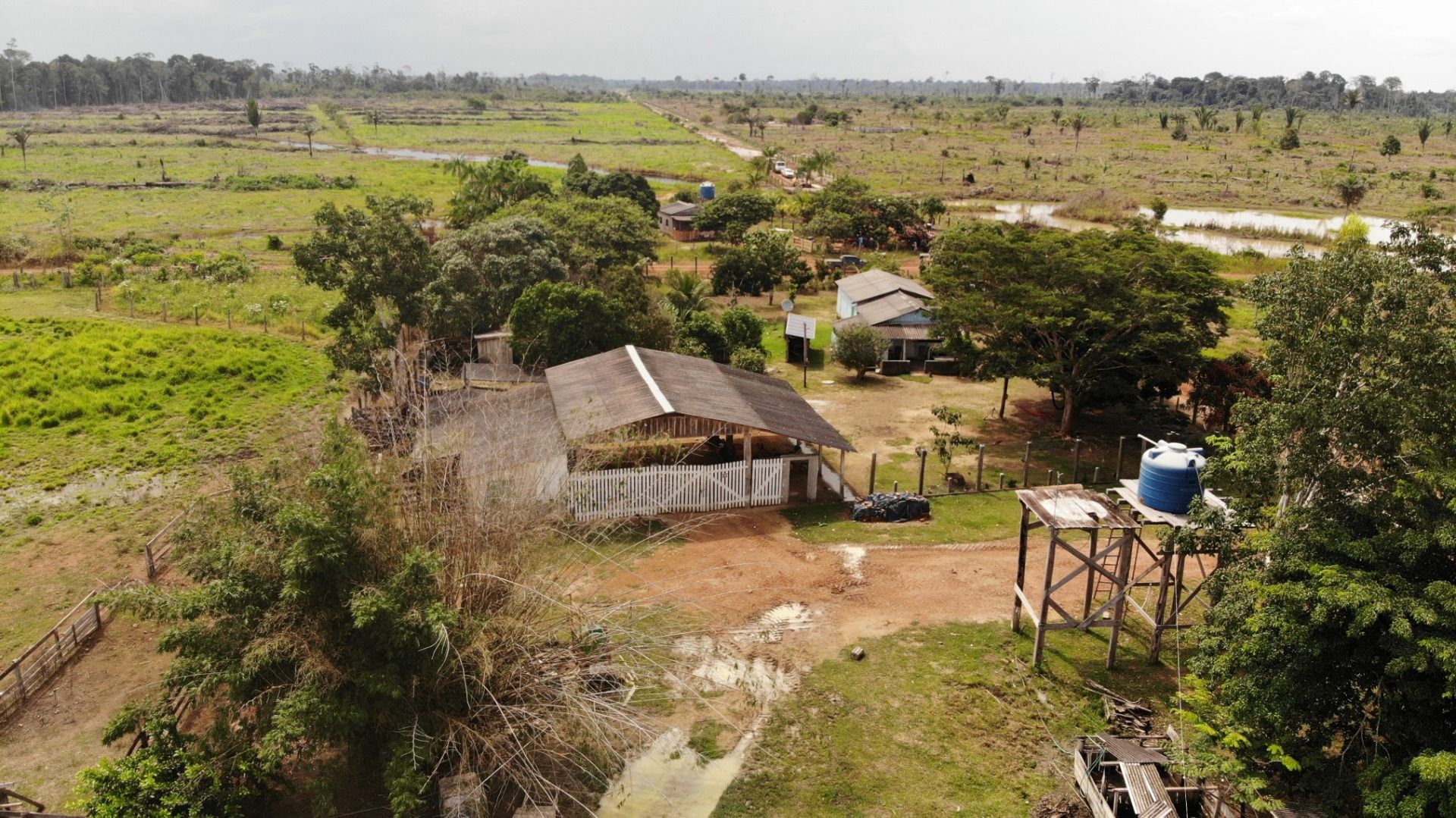 Fazenda-Sítio-Chácara, 1365 hectares - Foto 4