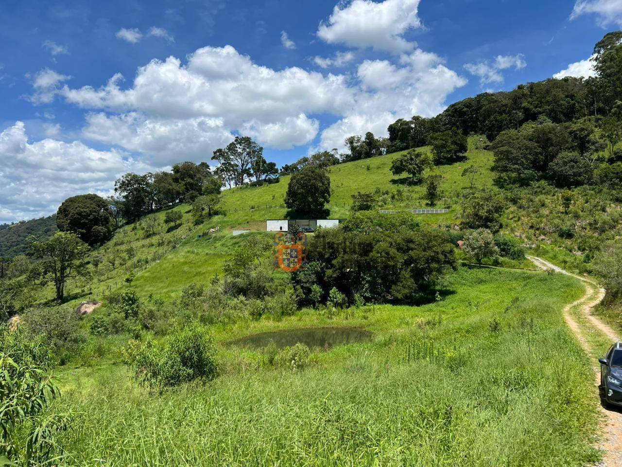 Sítio, 2 quartos, 10000 m² - Foto 4