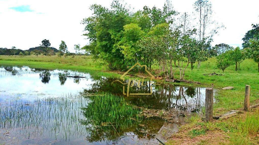 Fazenda à venda com 3 quartos, 250m² - Foto 11