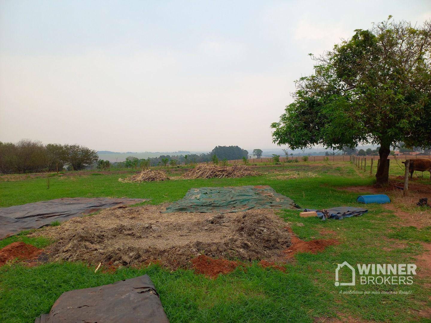 Chácara, 3 quartos, 2 hectares - Foto 14