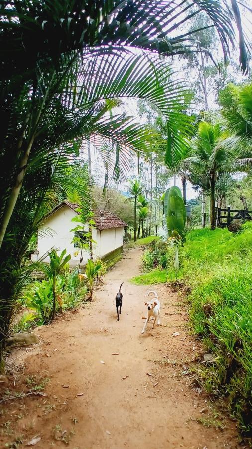 Fazenda à venda com 2 quartos, 96000m² - Foto 5